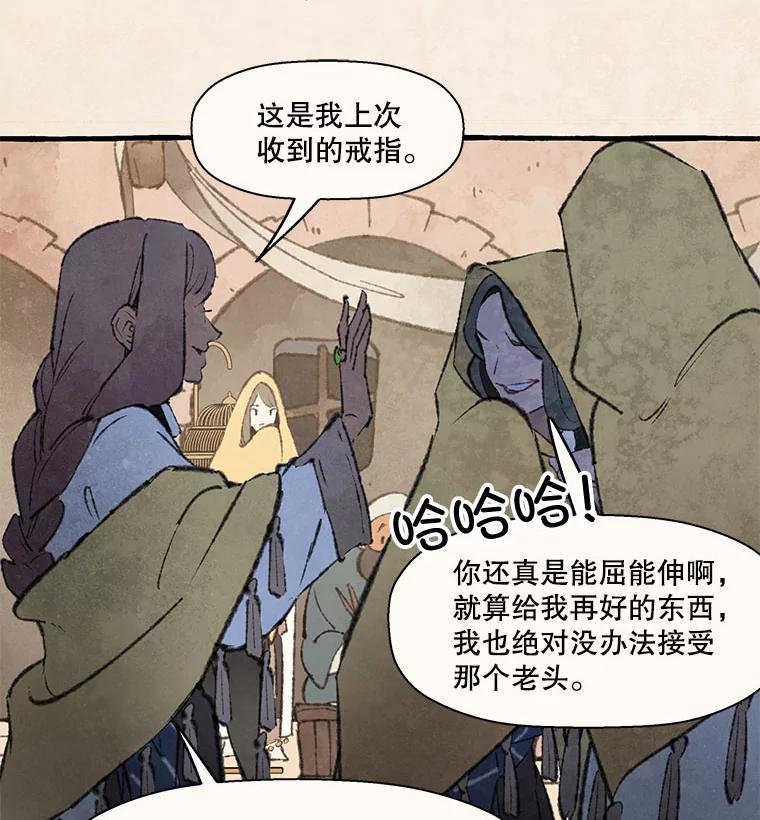 《在流星坠落之处等待》78.银色猫头鹰（2） 第13页