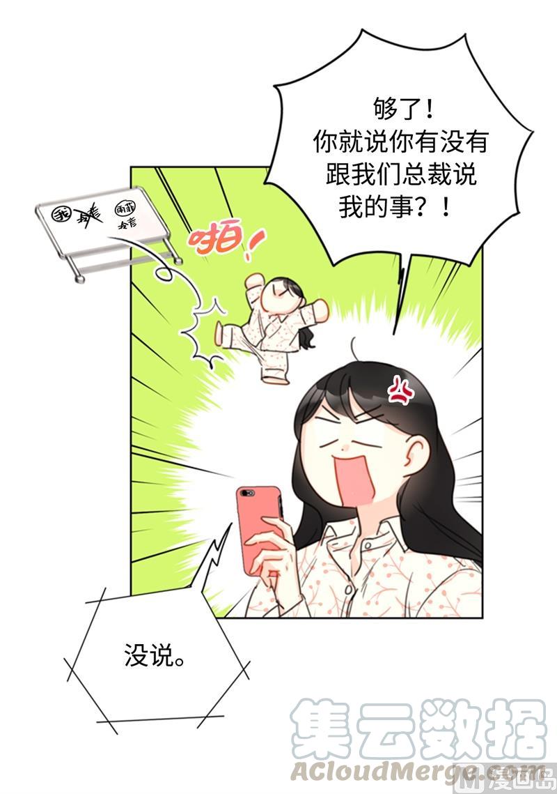 我和总裁相了个亲 - 17.要不我们还是招了吧 - 第11张图