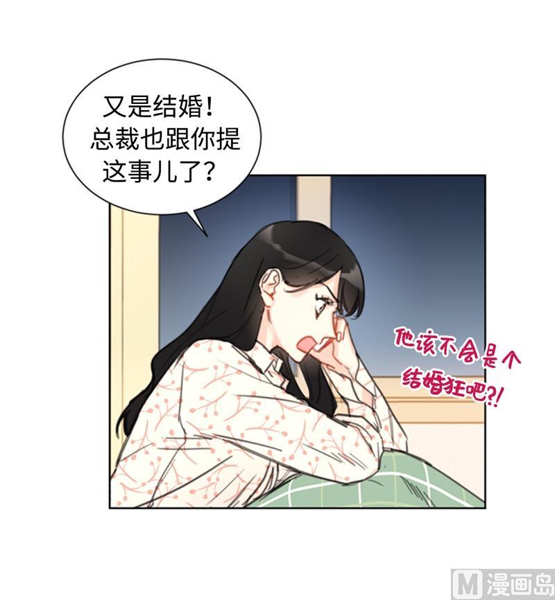 我和总裁相了个亲 - 17.要不我们还是招了吧 - 第26张图