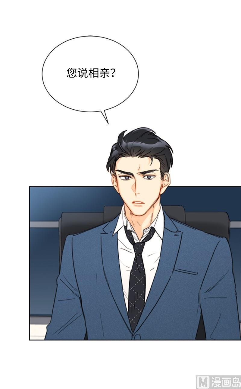 我和总裁相了个亲 - 35.不是被甩，是被骗了！ - 第2张图