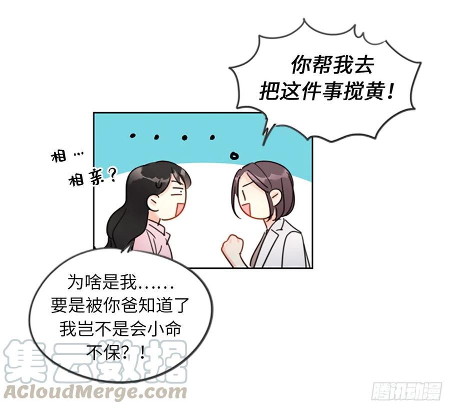 我和总裁相了个亲 - 3.帮我搅黄这次相亲！ - 第13张图