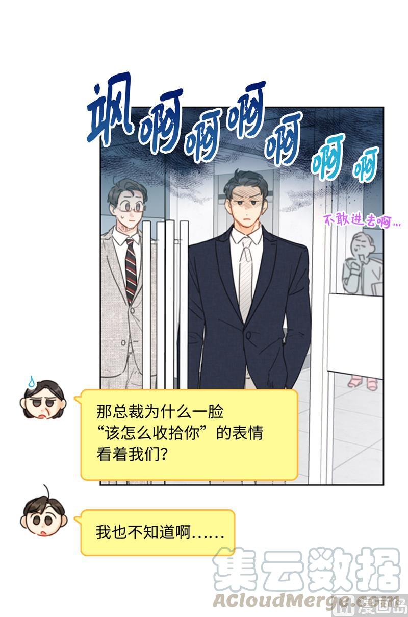 我和总裁相了个亲 - 42.竟敢欺骗我！ - 第17张图