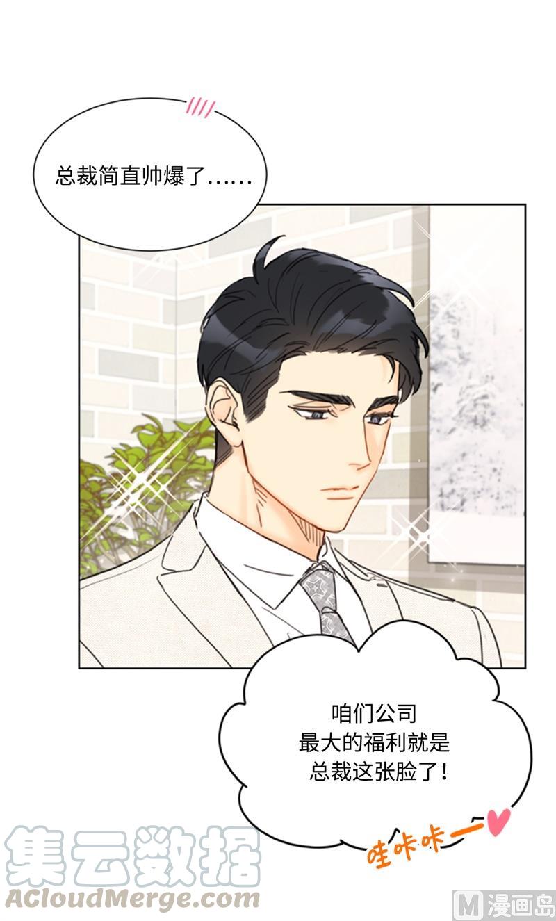 我和总裁相了个亲 - 66.菲入虎口 - 第3张图