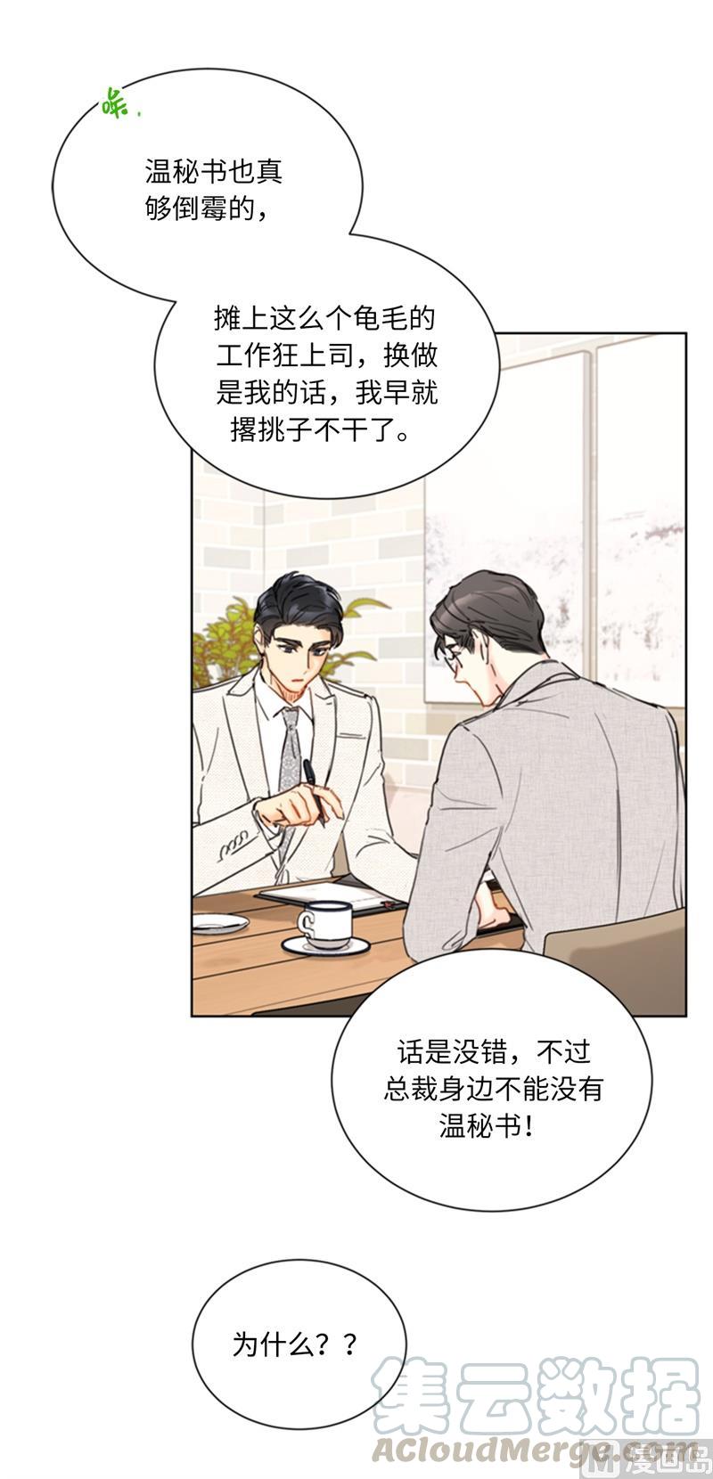 我和总裁相了个亲 - 66.菲入虎口 - 第13张图