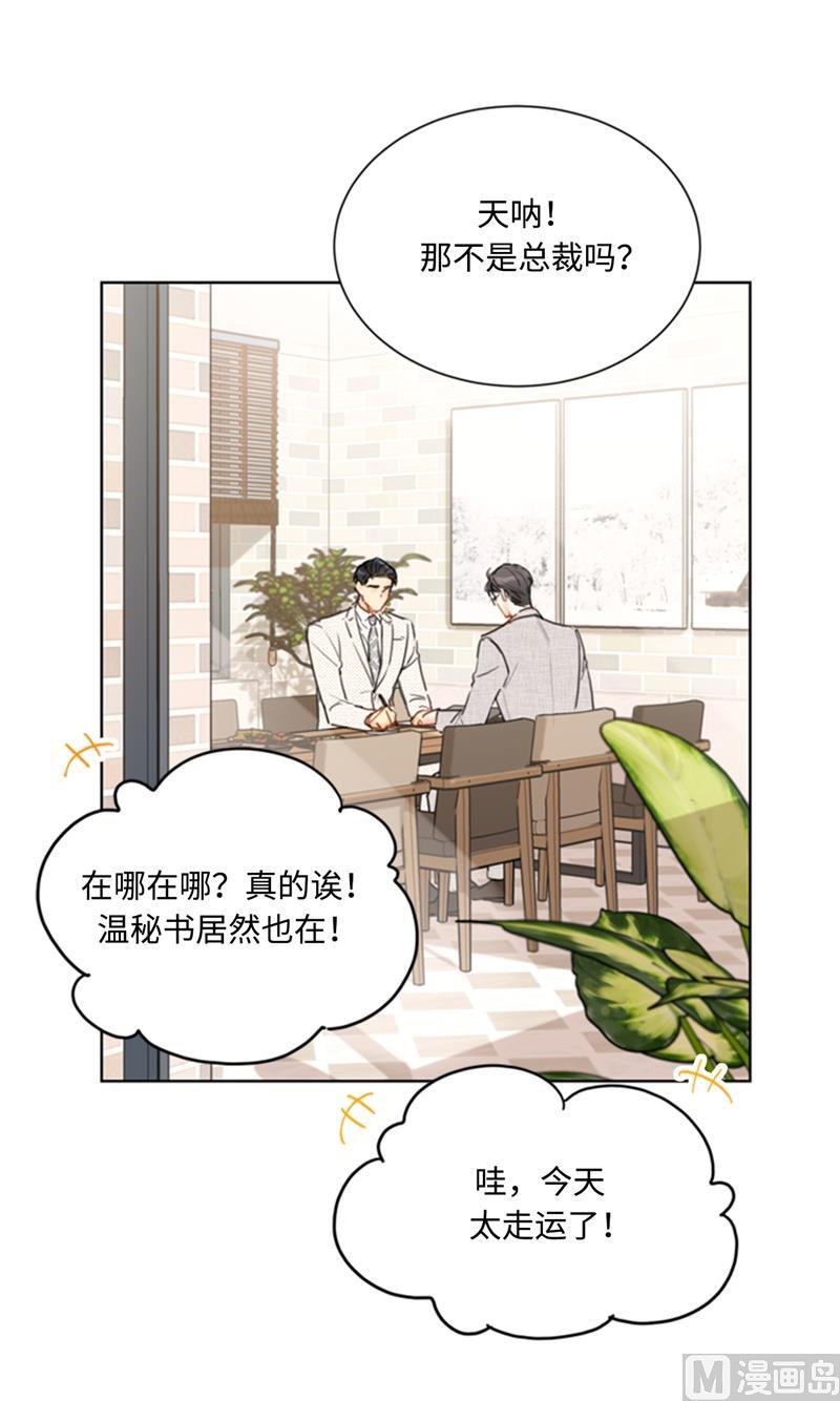 我和总裁相了个亲 - 66.菲入虎口 - 第2张图