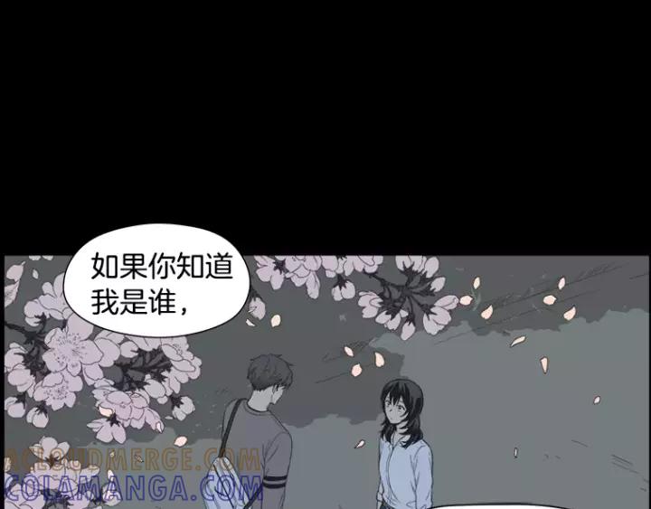 《不能恋爱的房间》第33话 夜晚的樱花更美 第81页