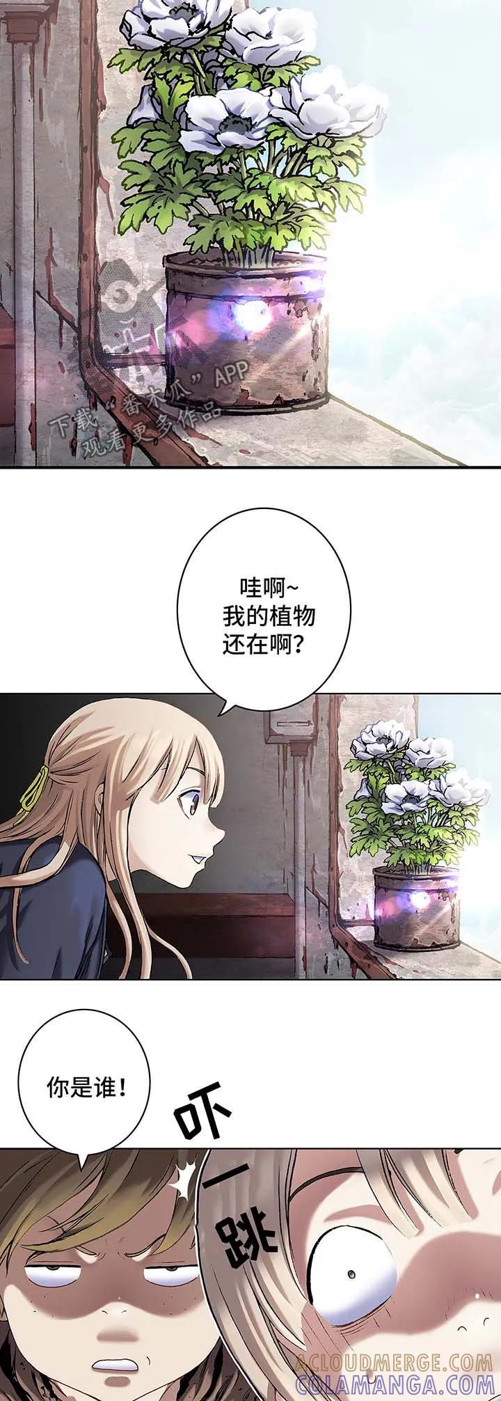21.jpg