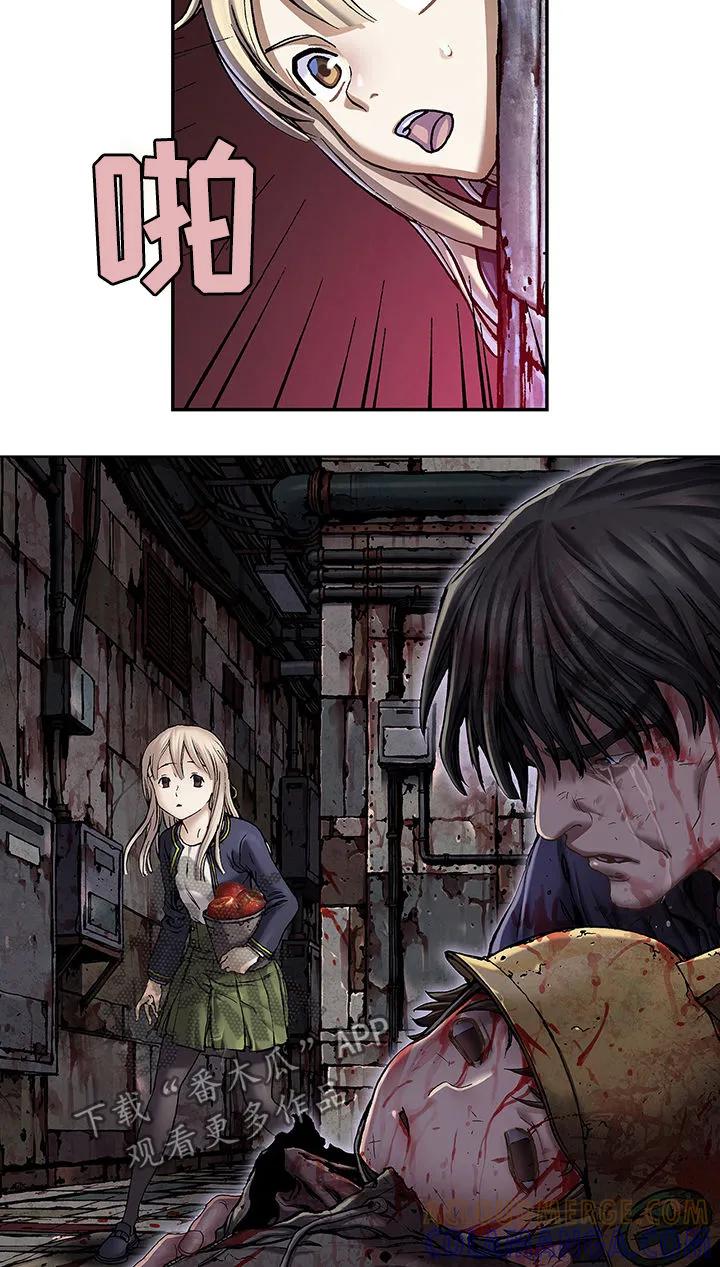 11.jpg