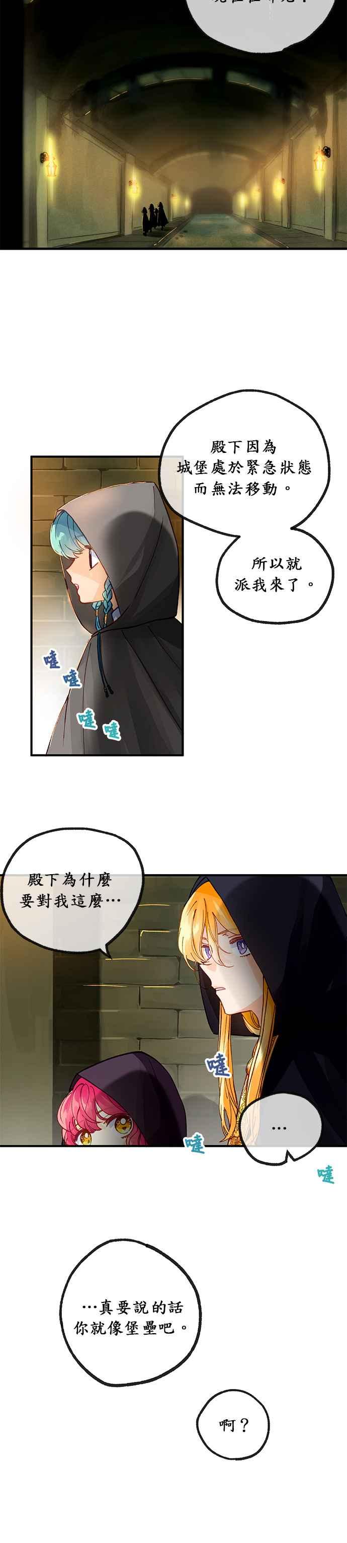 《温柔公爵的祕密》第29话 第20页