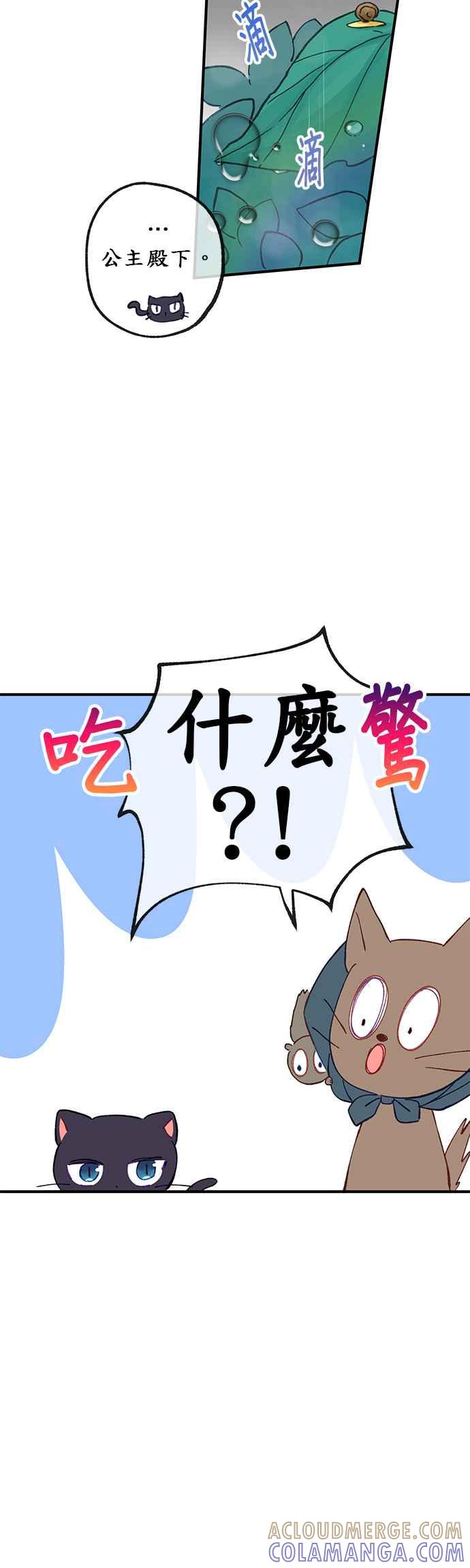 《温柔公爵的祕密》第35话 第11页