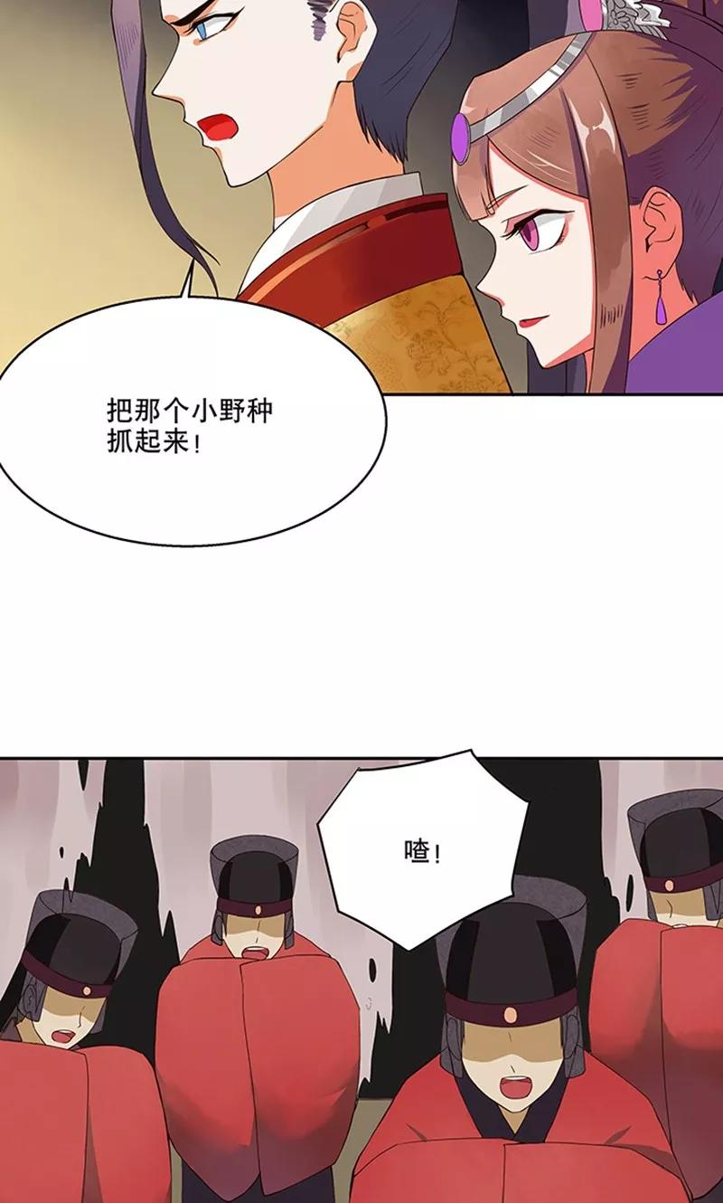 《浴血商后：冷夫强宠》第1话 第14页