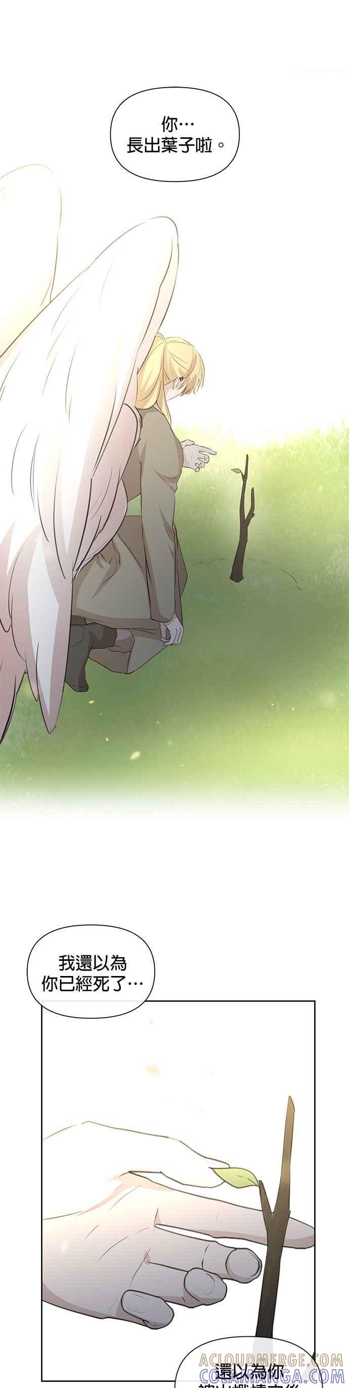 《金色森林》第94话 第5页