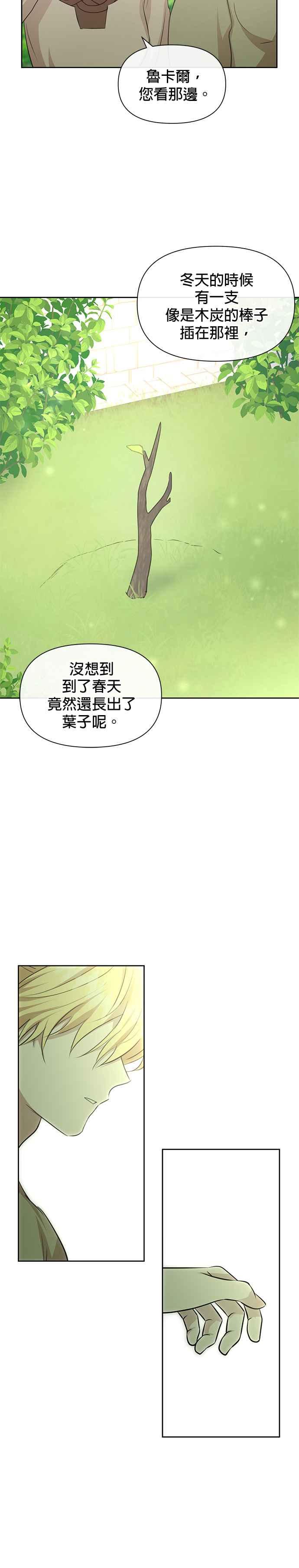 《金色森林》第94话 第4页