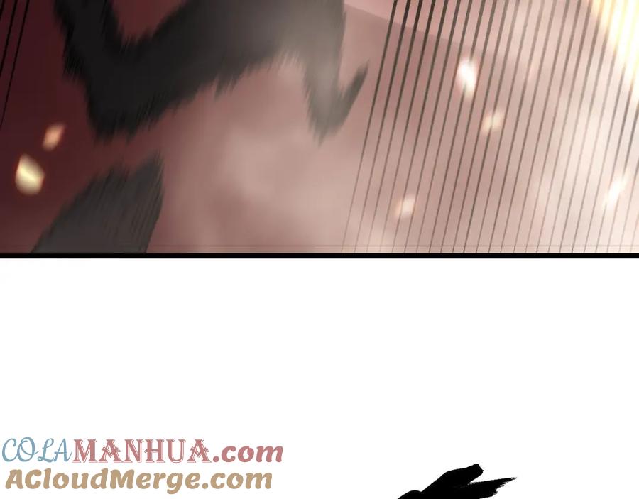 45.jpg