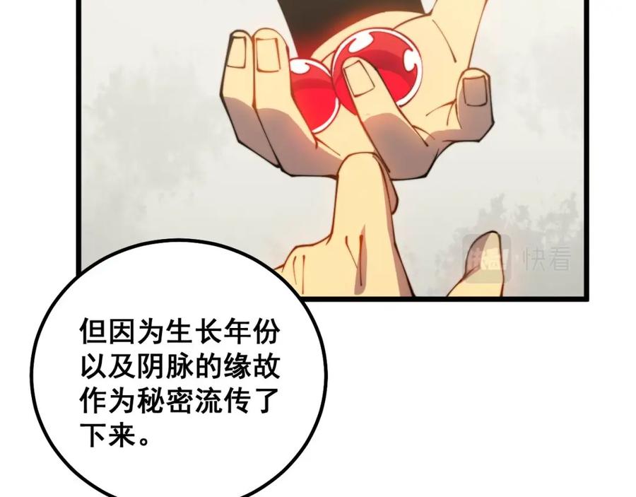 95.jpg