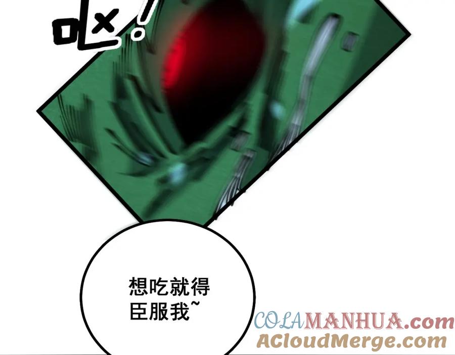 117.jpg