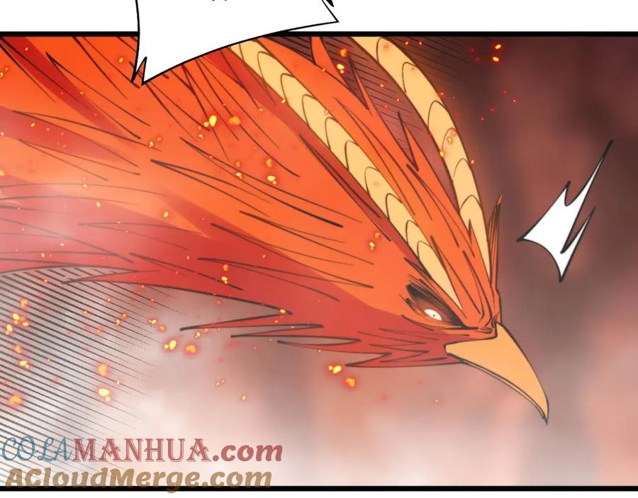 69.jpg
