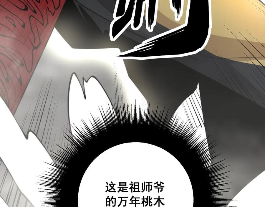 毒手巫医 第311话 木剑 第28页