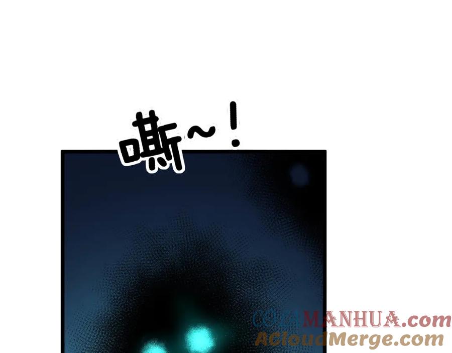 毒手巫医 第313话 阴煞之气 第5页