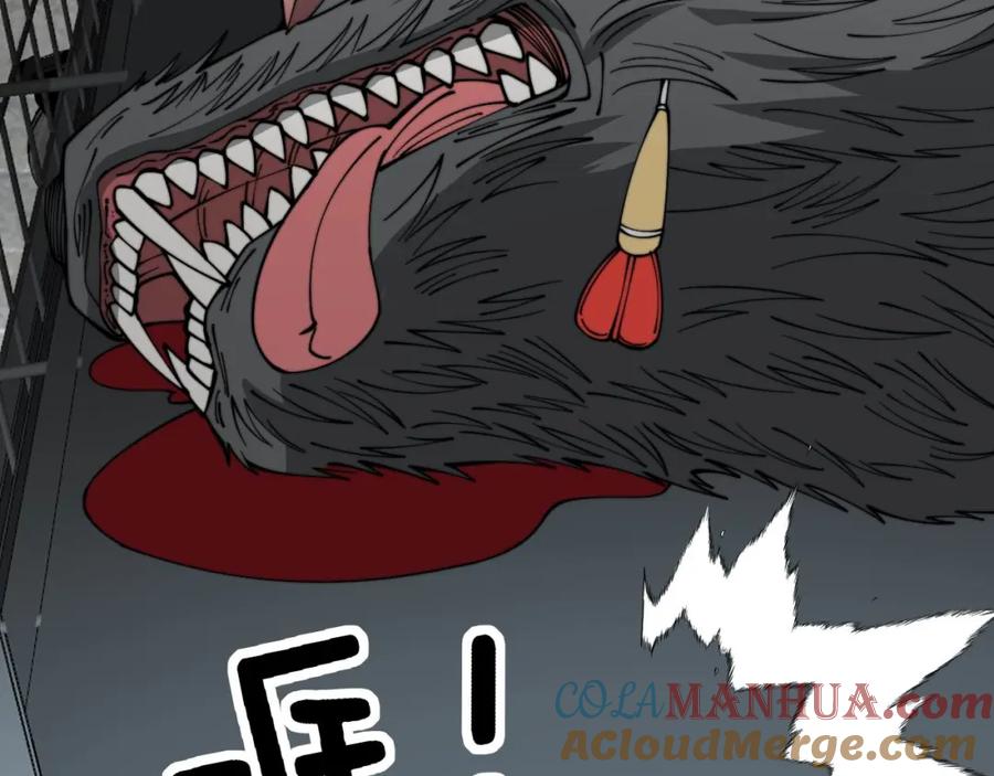 毒手巫医 第320话 麻醉枪 第145页