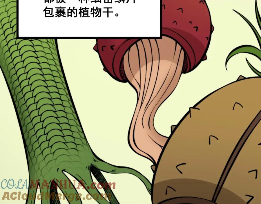 毒手巫医 第336话 蛇鳞草 第33页