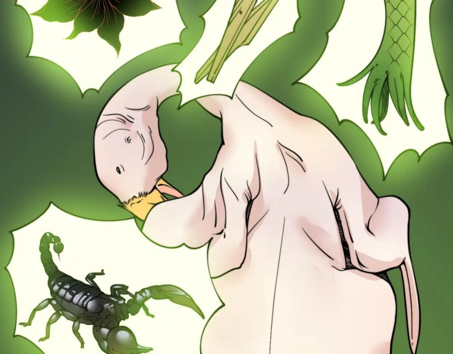 毒手巫医 第338话 弹针法 第62页
