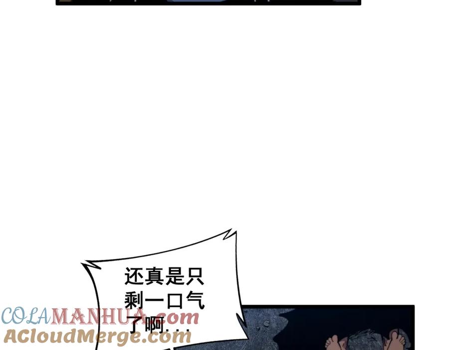 毒手巫医 第353话 满级状态 第17页