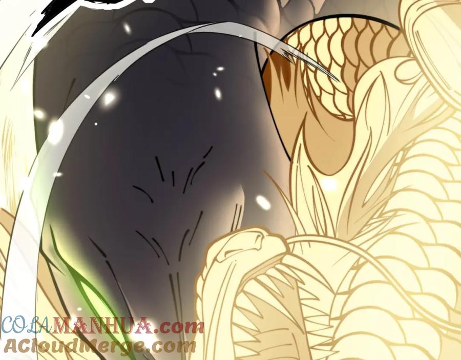 毒手巫医 第362话 极阳之物 第13页