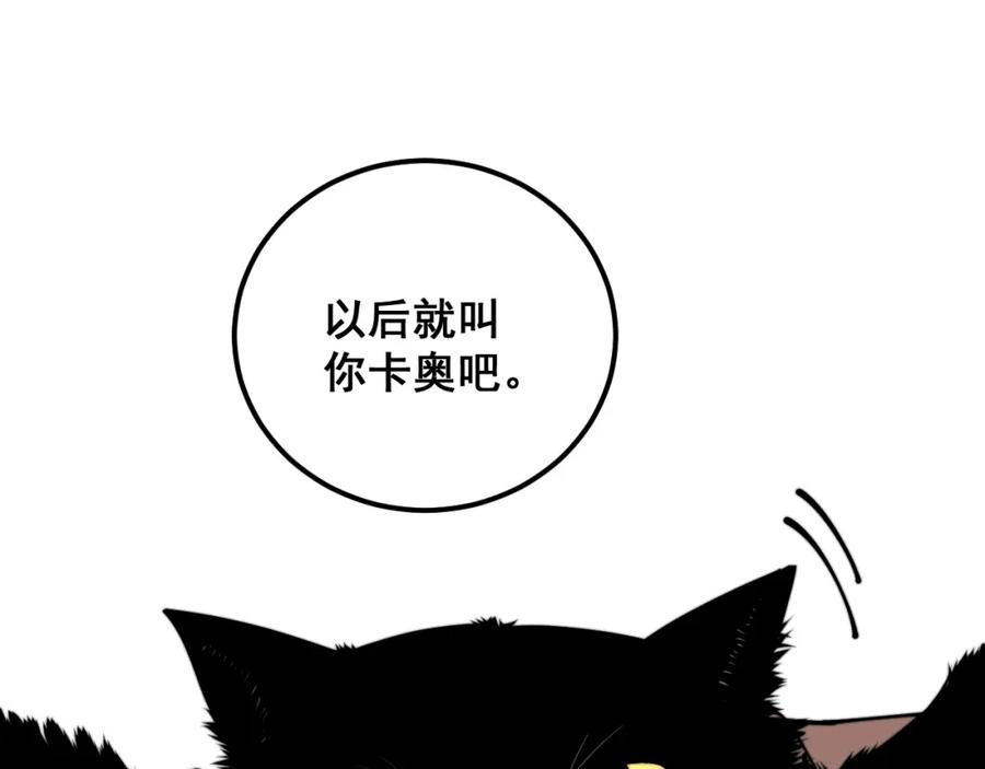 毒手巫医 第368话 忠诚蛊 第142页