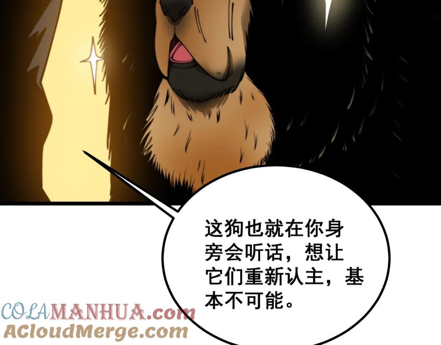 毒手巫医 第379话 神仙打架 第65页