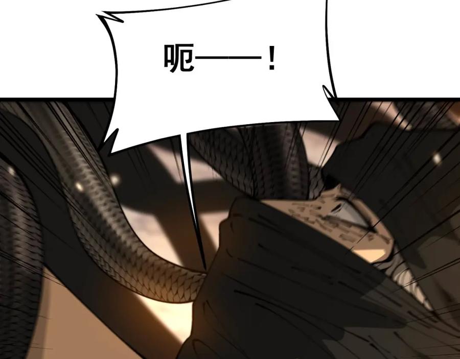 毒手巫医 第430话 左青龙右白虎 第15页