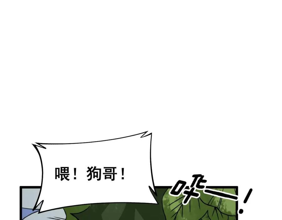 毒手巫医 第437话 喜结良缘 第87页
