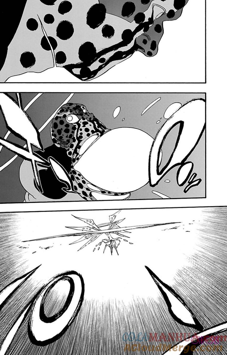 死神_境·界 第649话 第11页