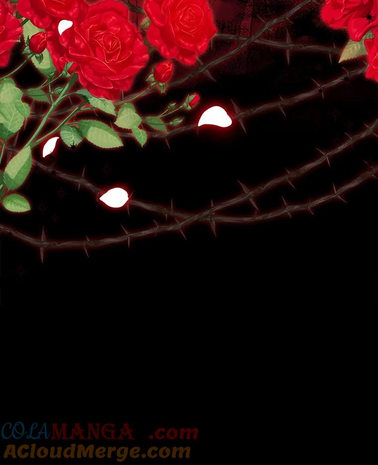 《反派未婚夫阻碍我的花路》27.晚宴 第117页