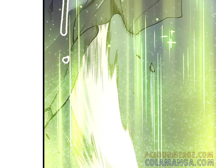 死灵法师！我即是天灾 第194话 生命之光 第73页