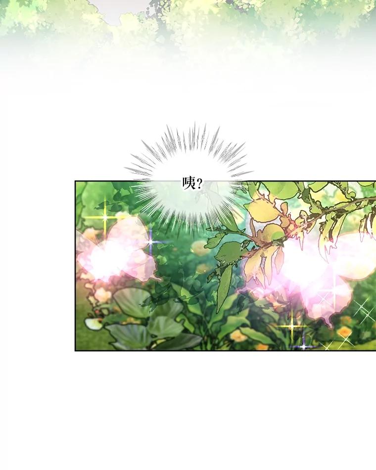 重生为神兽宝宝 - 25.精灵 - 第39张图