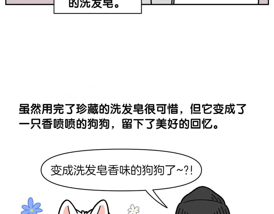 《我的狗子叫棉花》第48话 洗澡 第50页