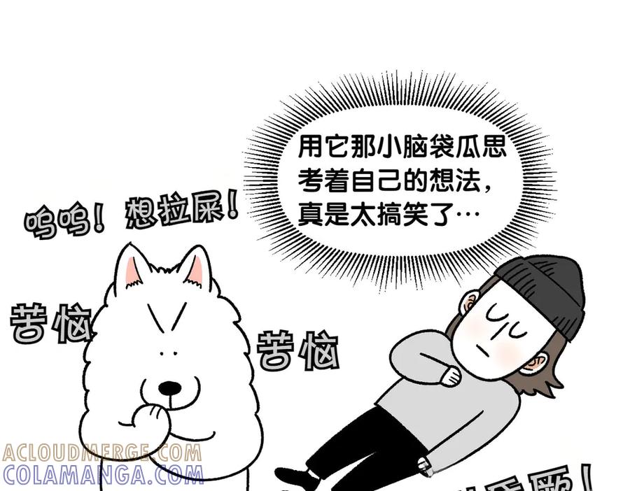 《我的狗子叫棉花》第59话 狗狗拉屎大王 第46页
