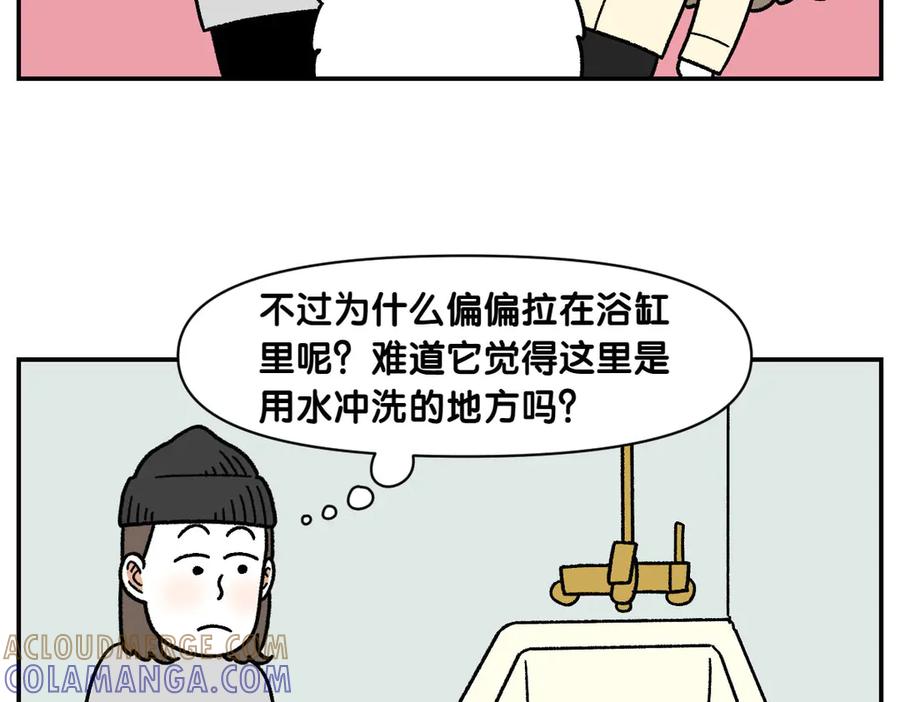 《我的狗子叫棉花》第59话 狗狗拉屎大王 第43页