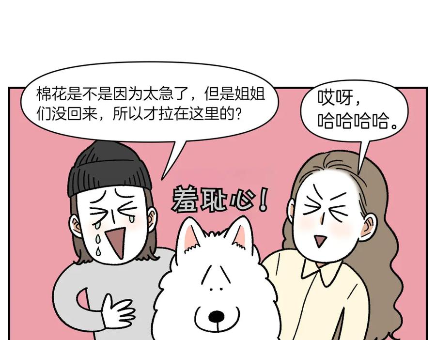 《我的狗子叫棉花》第59话 狗狗拉屎大王 第42页