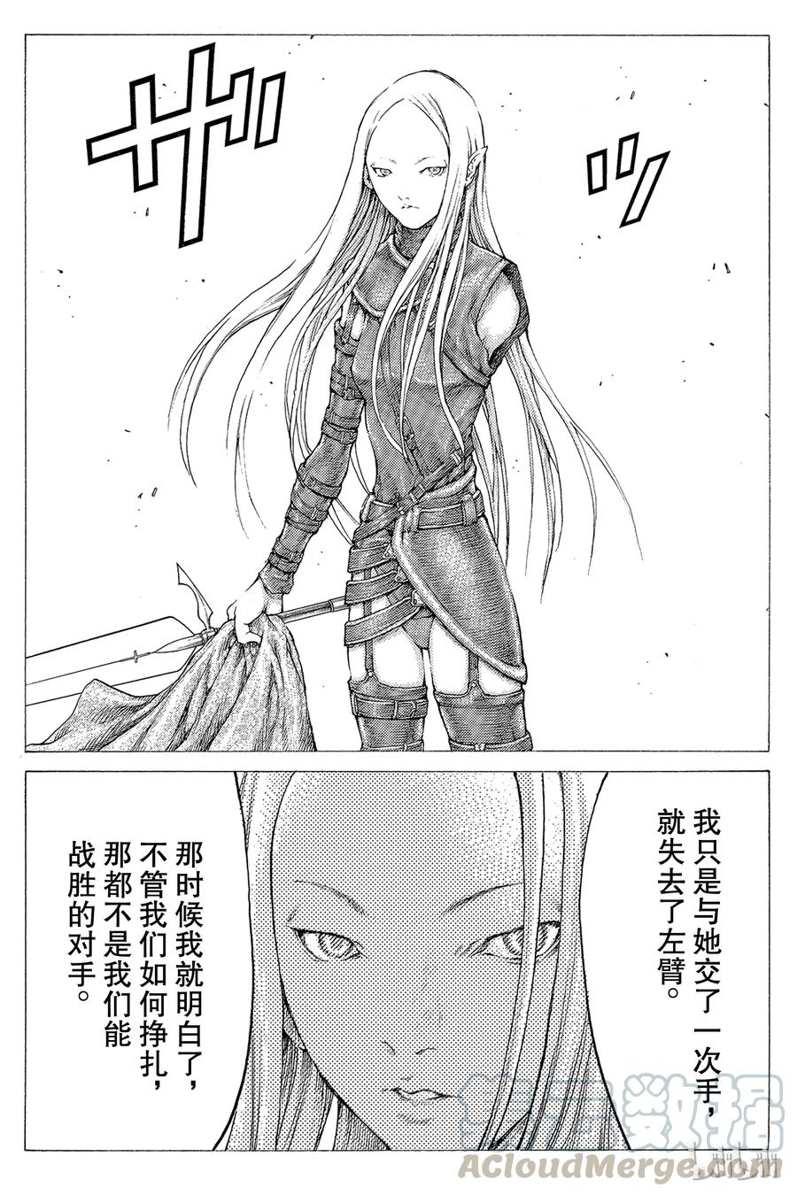大剑 37 战斗资格I 第17页