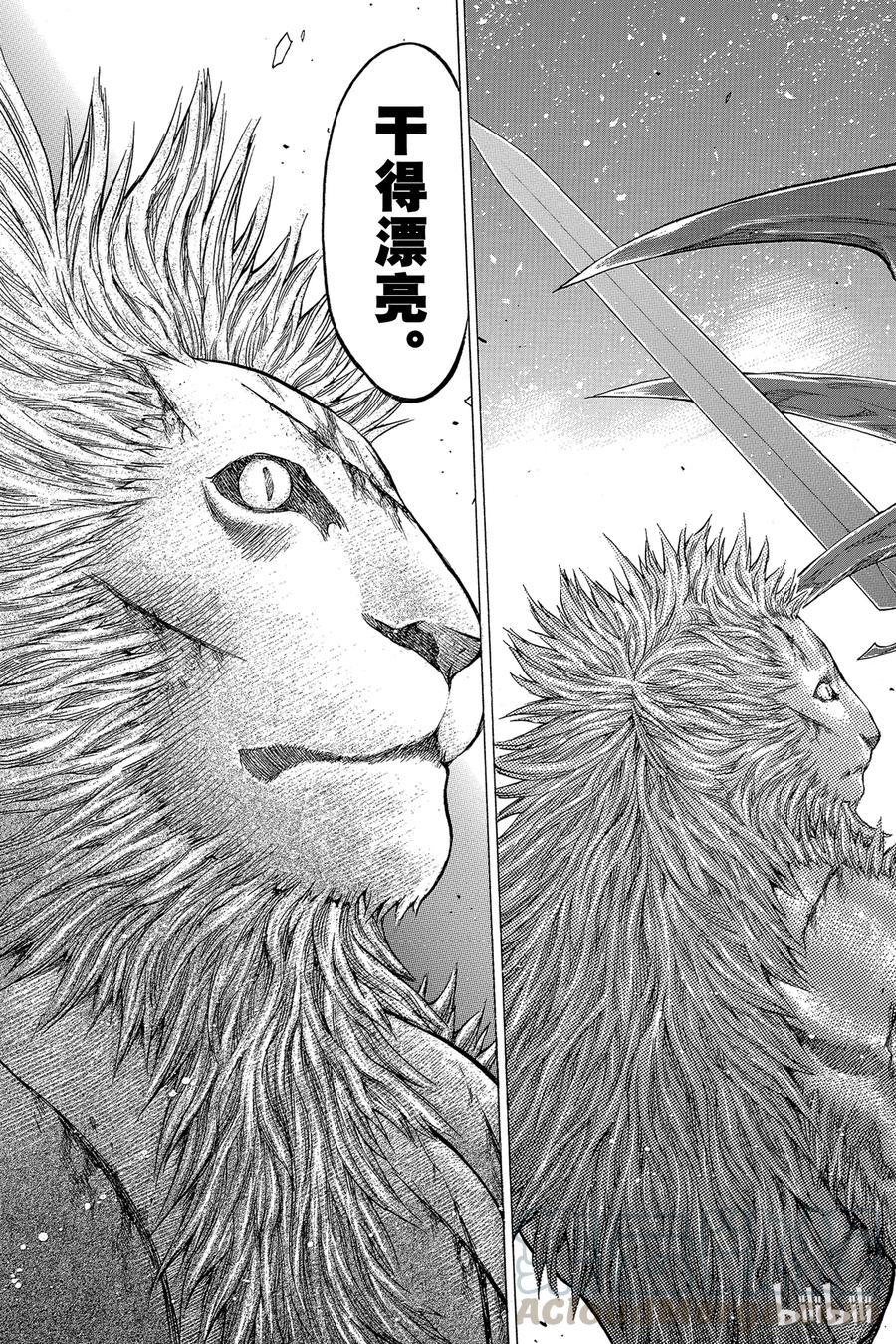 大剑 59 进攻皮埃塔III 第29页