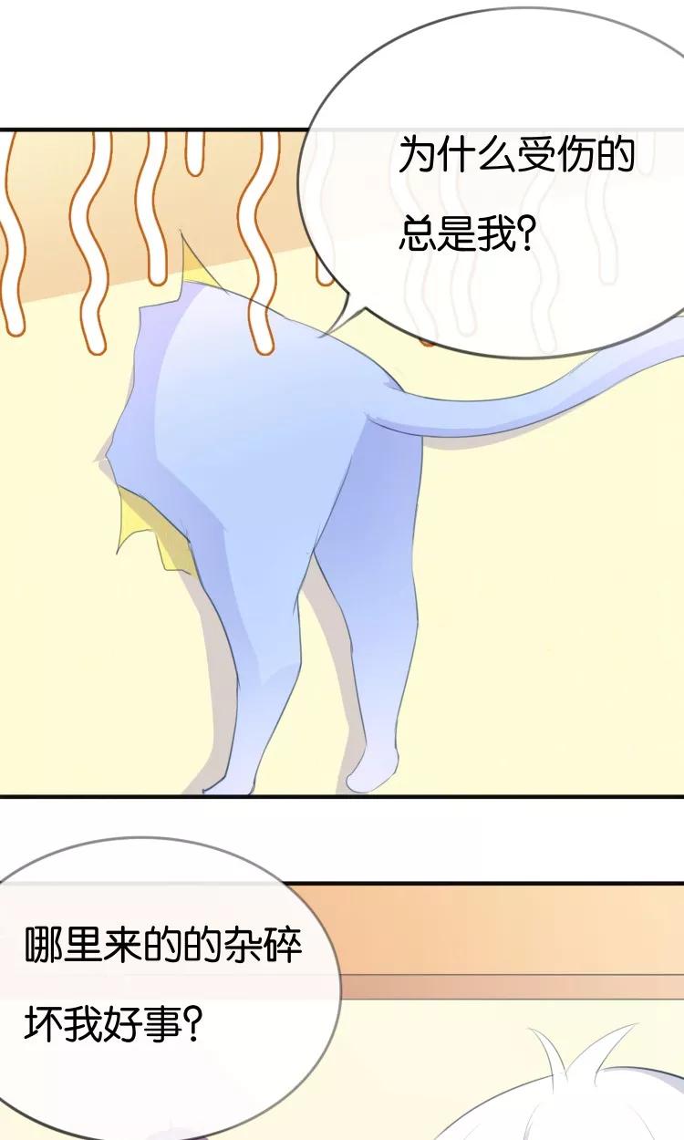 《可爱甜心》第11话 你们爱我吗？！ 第42页