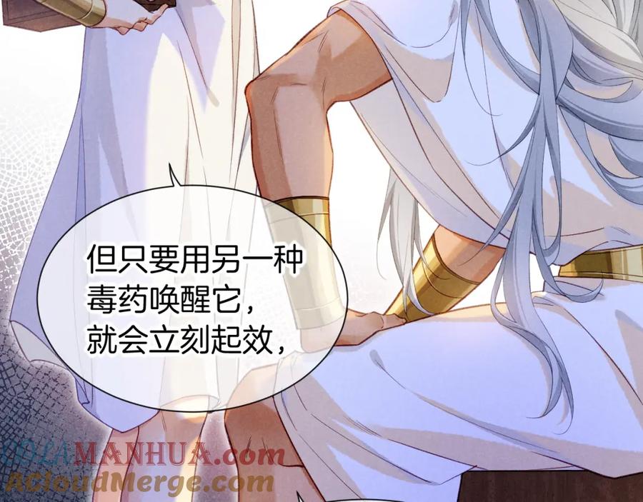 再见，我的国王 第51话 神教的任务 第13页