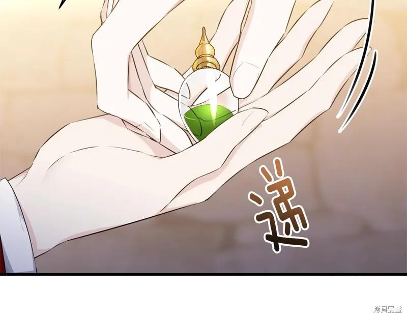 《明明是冷美人小姐却变成了忠犬大少爷》第74话 第127页