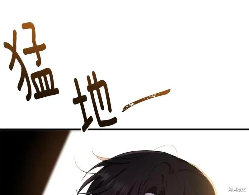 《明明是冷美人小姐却变成了忠犬大少爷》第75话 第152页