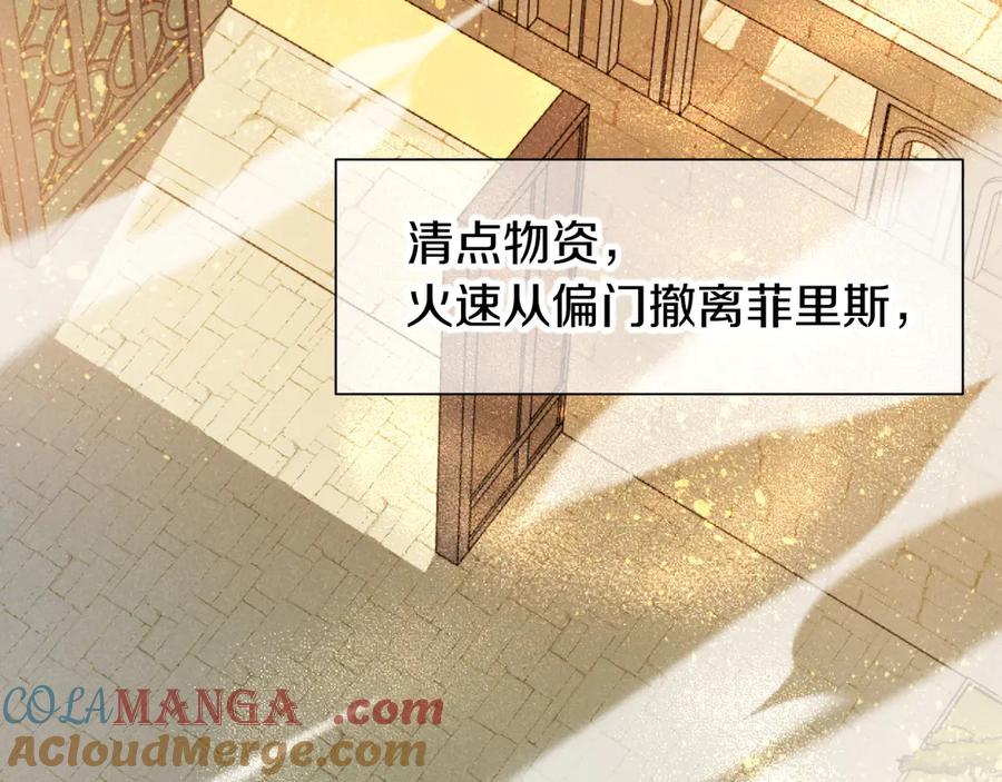 再见，我的国王 第83话 告别菲里斯 第17页