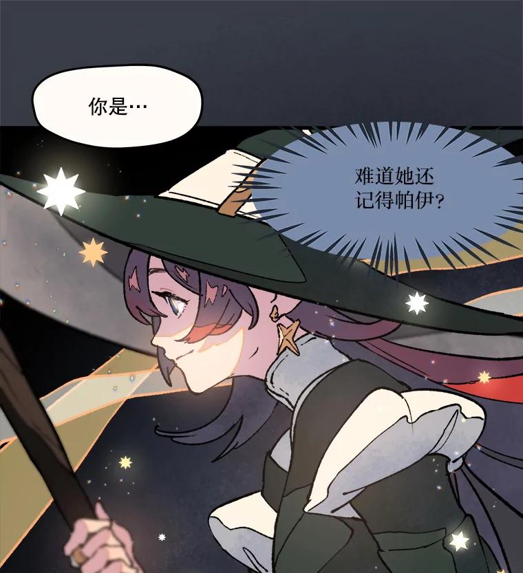 《在流星坠落之处等待》10.大星星的魔女——帕伊 第5页