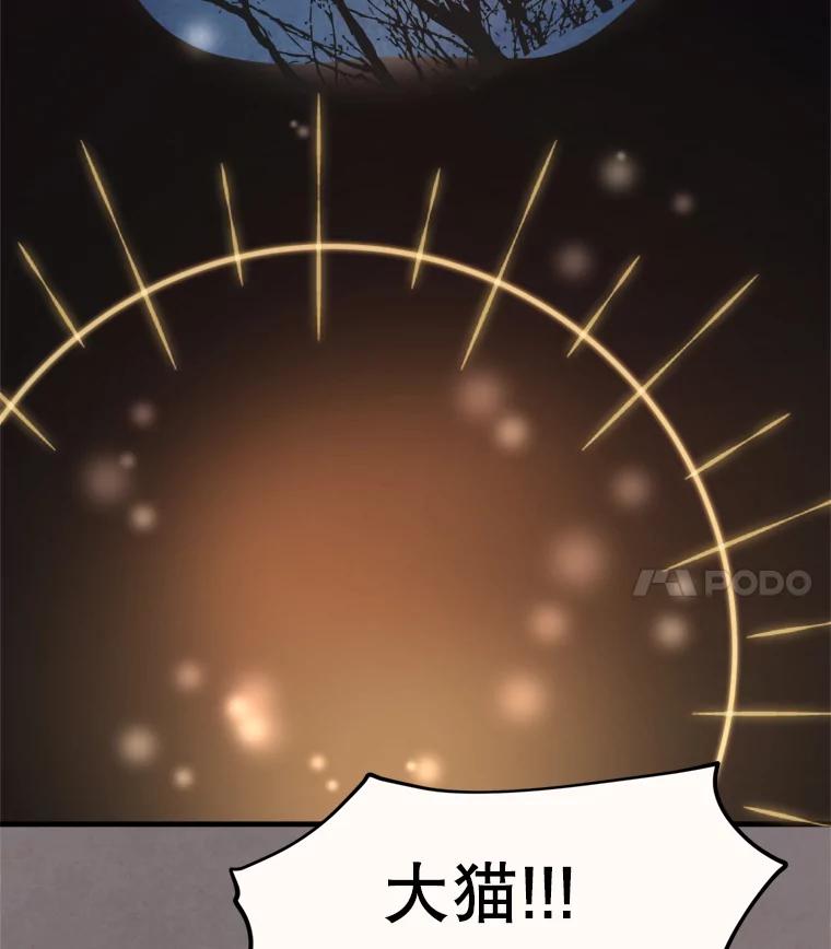 《在流星坠落之处等待》11.维维拉比鸟 第57页