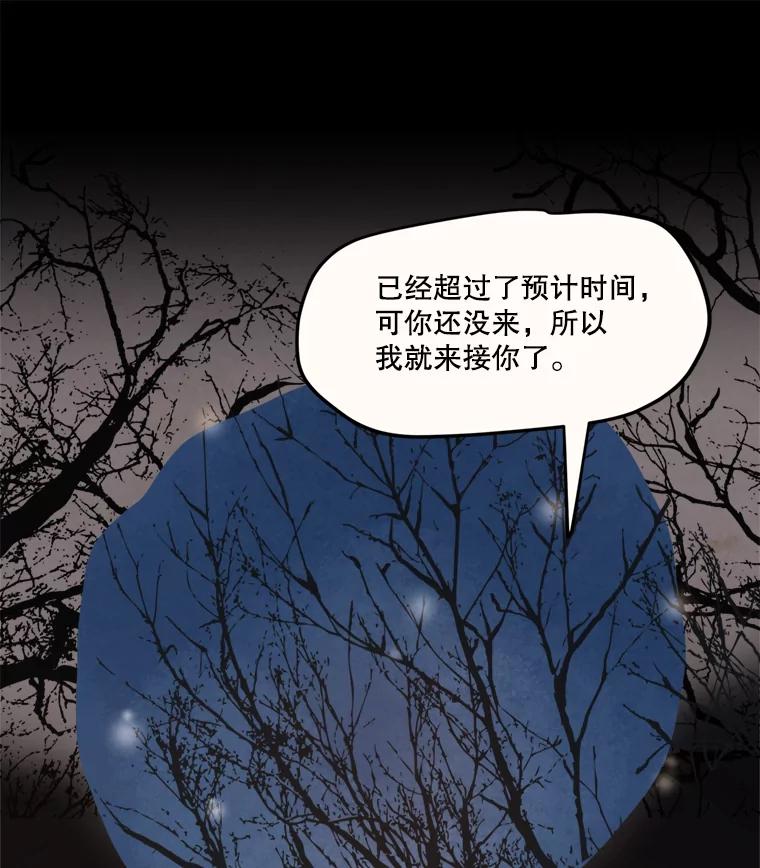 《在流星坠落之处等待》11.维维拉比鸟 第56页